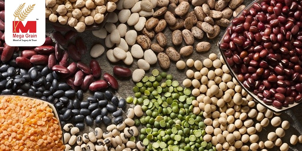 Digging the Land of Beans: A Guide to Importers and Varieties