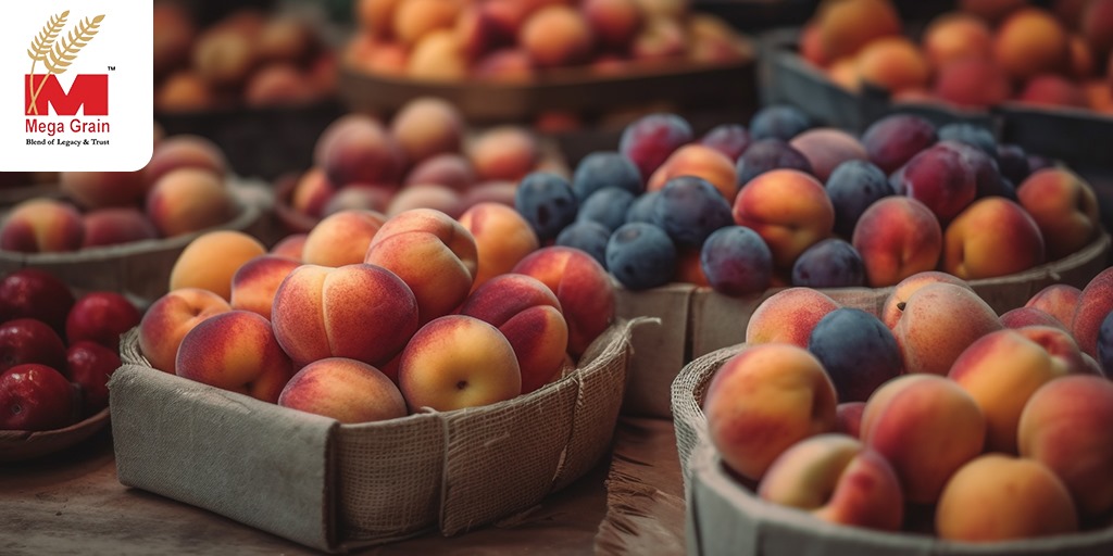 Buy Organic Apricots in Bulk From Top Suppliers