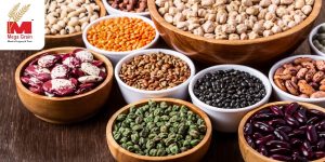 Pulses Wholesalers