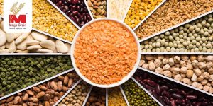 Buy Pulses