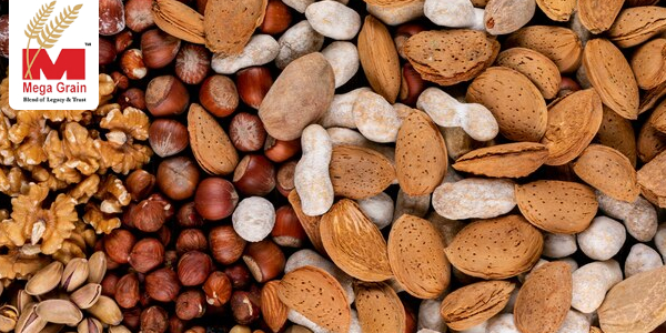 Dry Fruits Exporters: Pioneering Global Trade Dry Fruits Exporters: Pioneering Global Trade