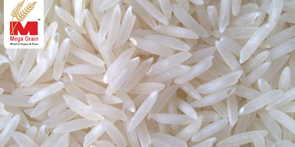 Explore Exotic Basmati Rice Variants At Mega Grain Explore Exotic Basmati Rice Variants At Mega Grain