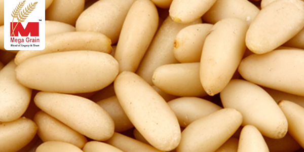 A Perfect Guide To Understand The Pine Nuts Popularity And Trade Globally A Perfect Guide To Understand The Pine Nuts Popularity And Trade Globally