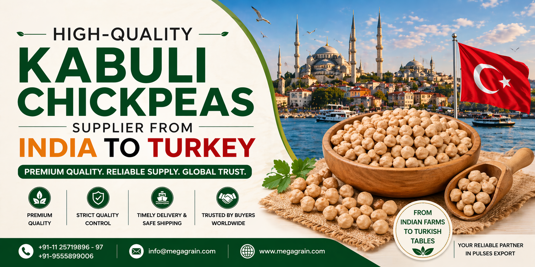 High-Quality Kabuli Chickpeas Supplier from India to Turkey