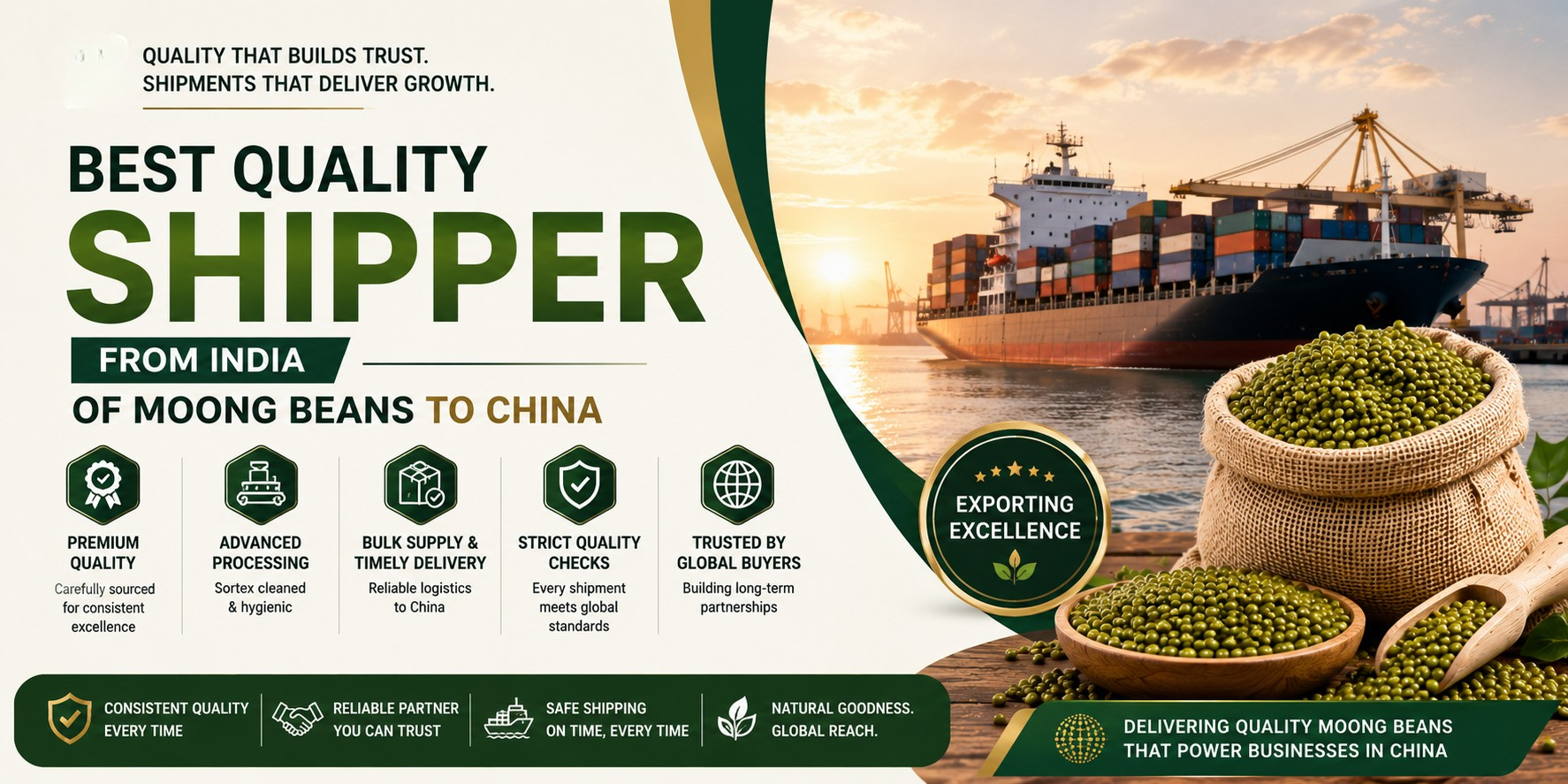 Best Quality Shipper from India of Moong Beans to China Best Quality Shipper from India of Moong Beans to China