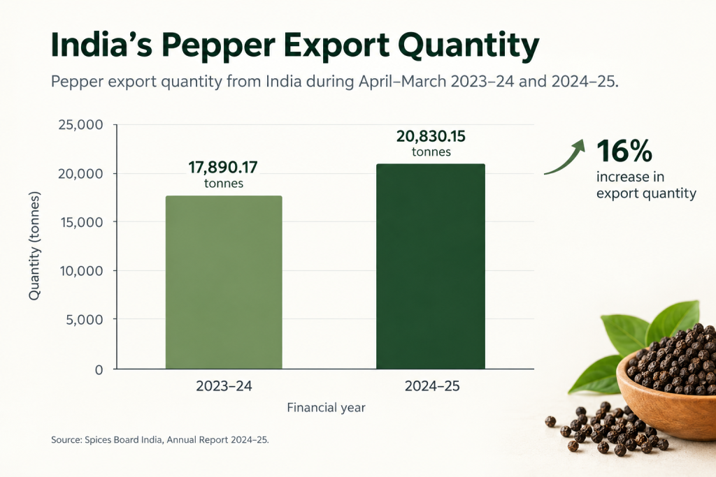 Indian black pepper export and spice trade market overview
