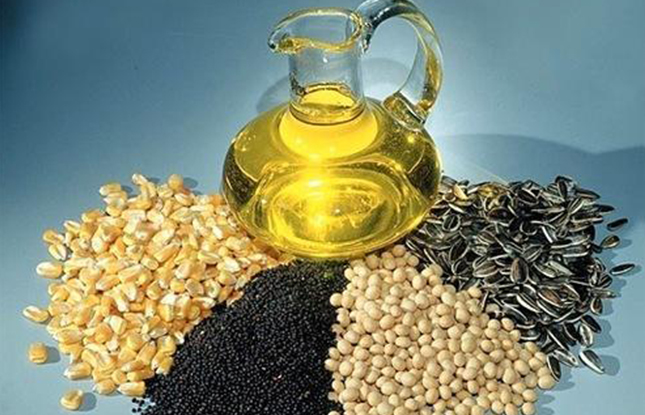 Edible oil seeds
