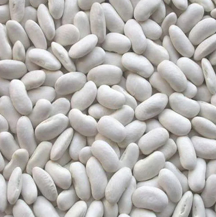 White Beans