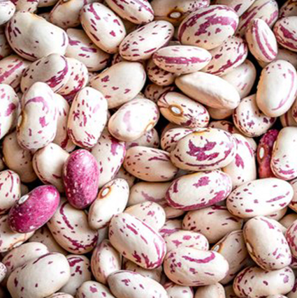 Cranberry Beans