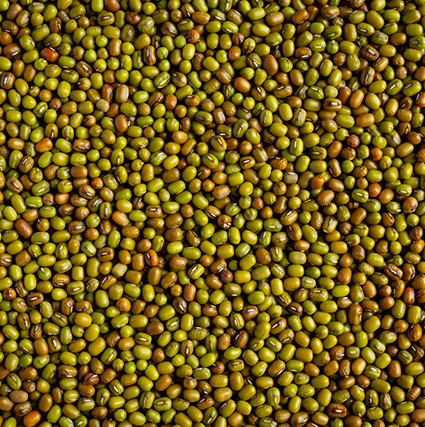 Green Mung Beans