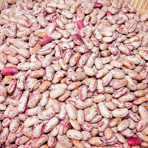 Light Speckled Kidney Beans