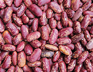 Red Speckled Kidney Beans