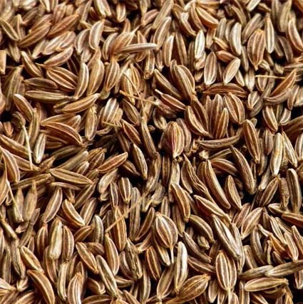 Caraway Seeds