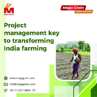 Sowing success: Project management’s strategic role in reimagining Indian farming