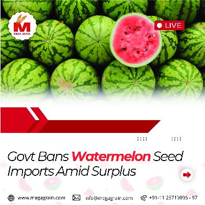 Govt bans watermelon seed imports amid surplus