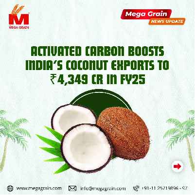 Activated carbon rides on India’s coconut product exports to fetch ₹4,349 crore in FY25