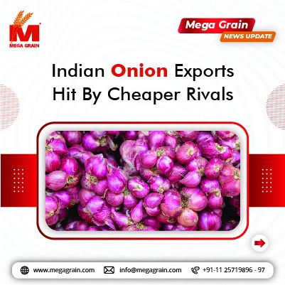 Indian Onion Exports Hit by Cheaper Rivals