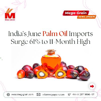 India's June Palm Oil Imports Surge 61% to 11-Month High