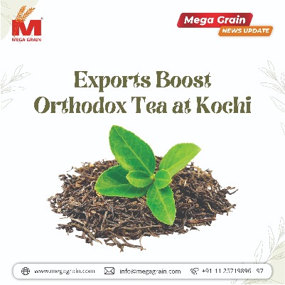 Exports Boost Orthodox Tea at Kochi