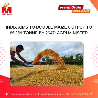 India aims to double maize output to 86 mn tonne by 2047: Agri Minister