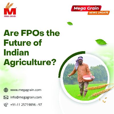 Are FPOs the Future of Indian Agriculture?