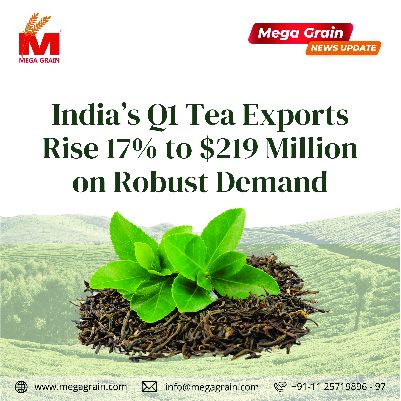 India’s Q1 tea shipments up 17% at $219 million on strong demand