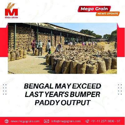 **Bengal may surpass last year’s paddy record**
