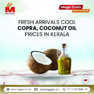 Fresh arrivals cool copra, coconut oil prices in Kerala