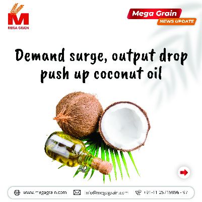 Demand surge, output drop push up coconut oil
