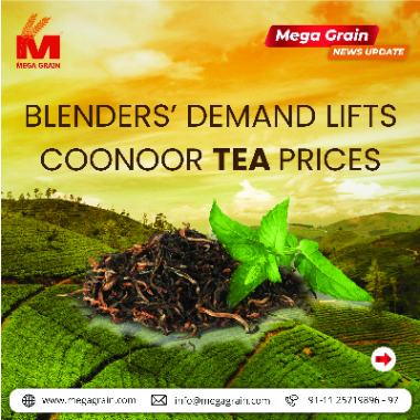 Blenders’ demand lift tea prices at Coonoor auctions
