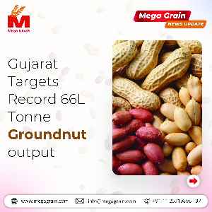 Gujarat targets record 66L tonne groundnut output