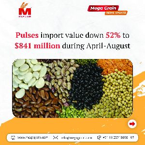 Pulses import value down 52% to $841 million during April-August