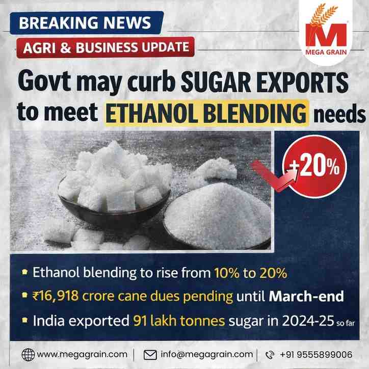 Sugar Export Curbs Likely as Ethanol Demand Rises 