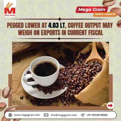 India&rsquo;s Coffee Output Declines, Export Growth Faces Pressure