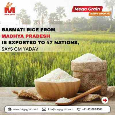 Basmati Exports from Madhya Pradesh Spark GI Debate