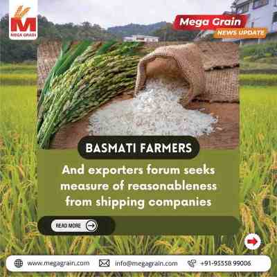 Basmati Exporters Raise Concerns Over Unfair Shipping Charges Amid Disruptions