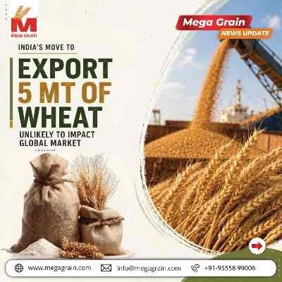 India&rsquo;s Wheat Export Push Unlikely to Disrupt Global Markets