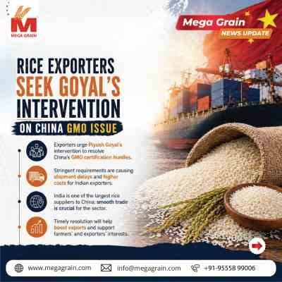 India Rice Exporters Seek Urgent Intervention Over China&rsquo;s GMO Restrictions