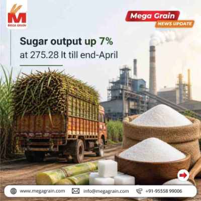 India&rsquo;s Sugar Output Rises 7% in 2025&ndash;26 Season