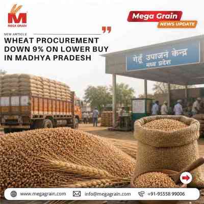 Wheat Procurement Drops 9% Amid Lower Buying in Madhya Pradesh