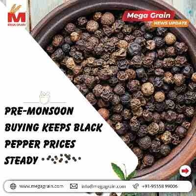 Pre-Monsoon Buying Keeps Black Pepper Prices Stable