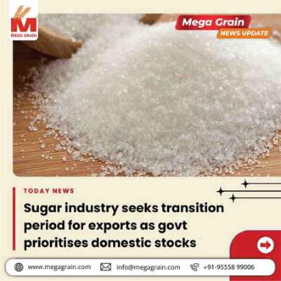 Sugar Industry Requests Export Transition Window Amid Domestic Stock Concerns