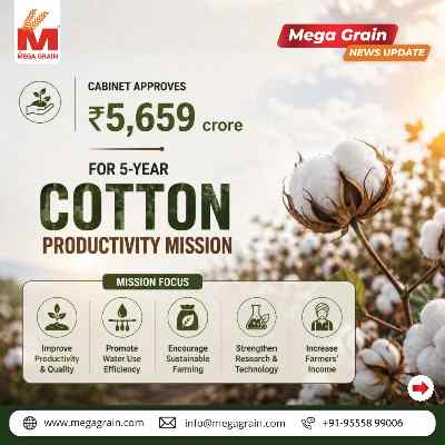 India Approves ₹5,659 Crore Cotton Productivity Mission