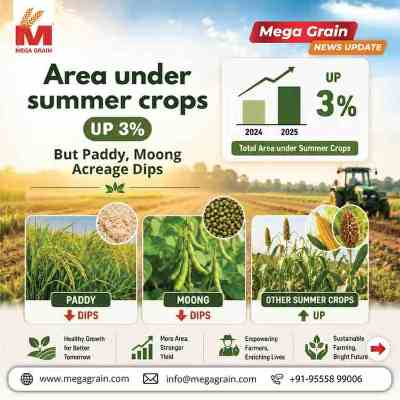 Area Under Summer Crops Rises 3%, Paddy & Moong Acreage Declines
