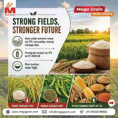 India&rsquo;s Foodgrain Production Set to Reach Record High in 2025-26