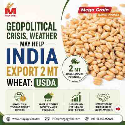India&rsquo;s Wheat Export Potential Rises to 2 MT Amid Global Supply Concerns