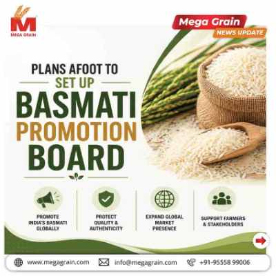 Plans Underway for Dedicated Basmati Promotion Board