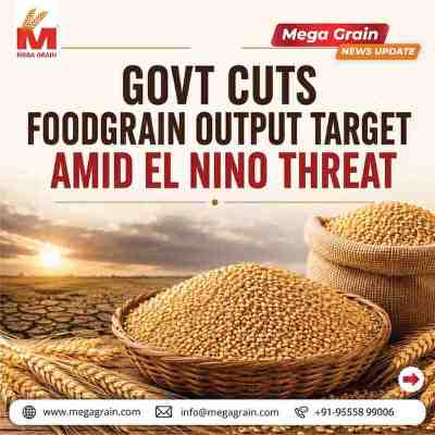 Government Lowers Foodgrain Production Target for 2026-27 Amid El Ni&ntilde;o Risk