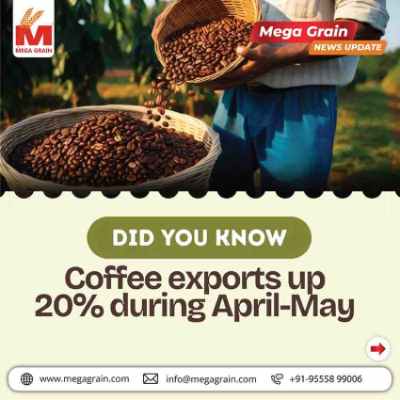 India&rsquo;s Coffee Exports Rise 20% in April&ndash;May FY27