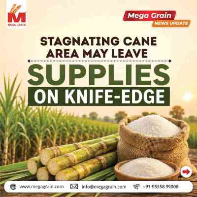 India&rsquo;s Sugar Supplies Face Pressure Despite Stable Sugarcane Acreage